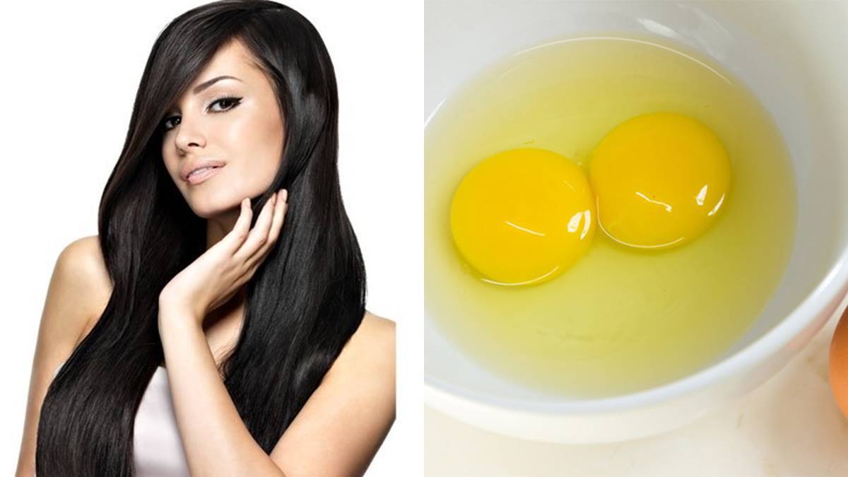 Hair Careഈ മുട്ട മാസ്ക് മുടി കൊഴിച്ചൽ തടയാൻ മാത്രമല്ല മുടി വളരാനും