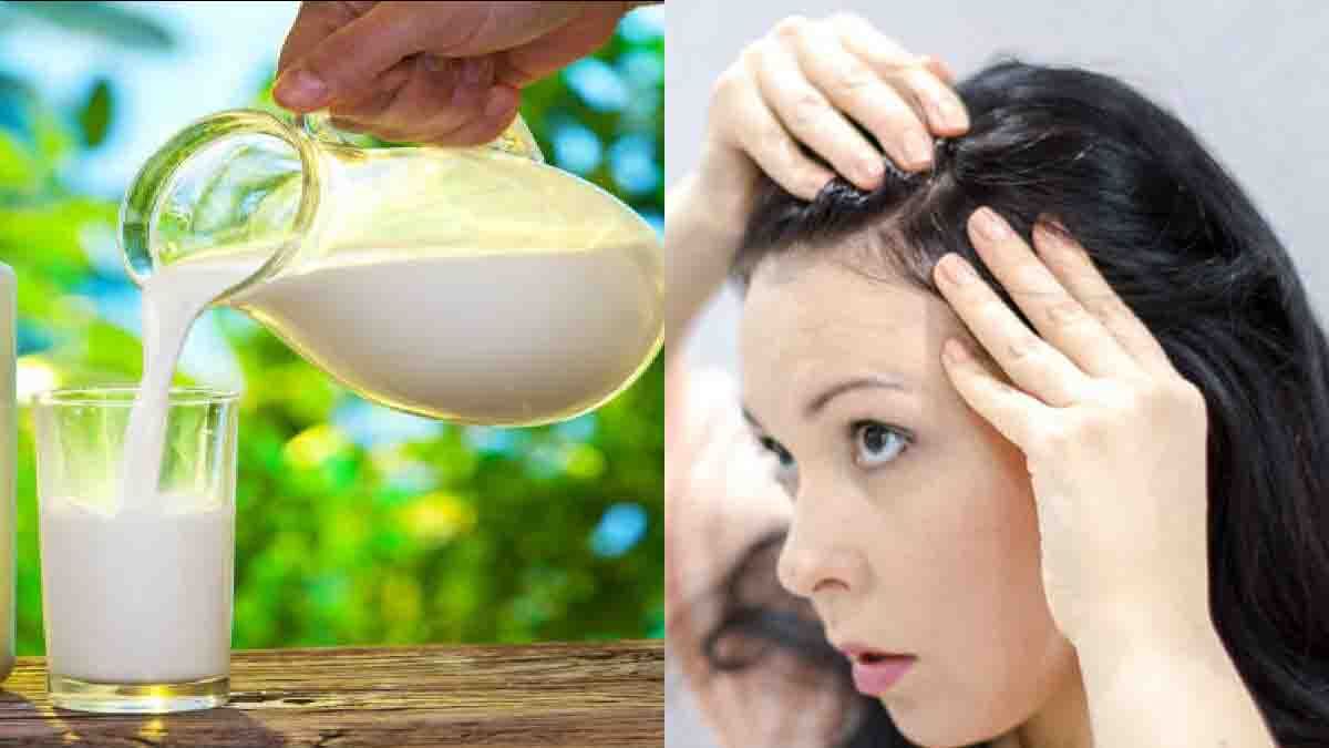 Hair Tips: മുടി സംരക്ഷണത്തിന് പാലോ.? അമ്പരക്കേണ്ട സത്യമാണ്