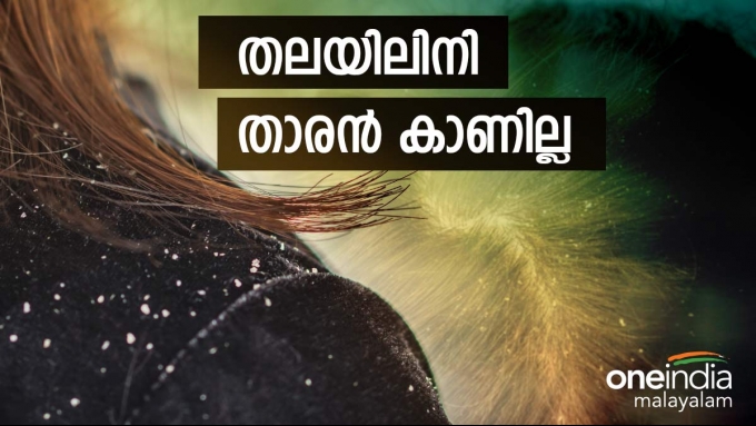 Hair care: താരന്റെ പൊടിപോലും  ഉണ്ടാവില്ല,  ഈ പൊടിക്കൈകൾ പരീക്ഷിക്കാം..
