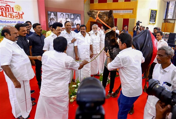 Tamil Nadu Chief Minister  MK Stalin's 70th Birthday Celebrations; See Photos