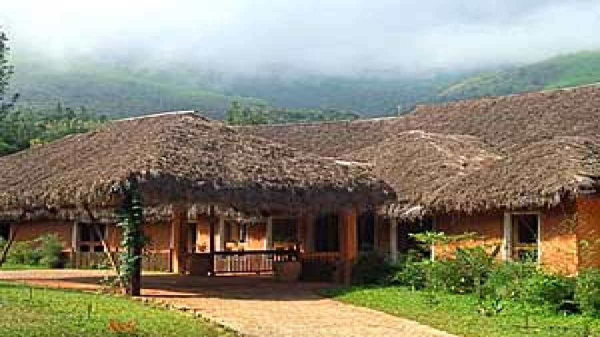 Travel: പച്ചപ്പ് വിരിച്ച മനോഹര നാടുകള്‍, നിങ്ങള്‍ തീര്‍ച്ചയായും സന്ദര്‍ശിക്കേണ്ട ഇക്കോ ടൂറിസ്റ്റ് കേന്ദ്രങ്ങള്‍