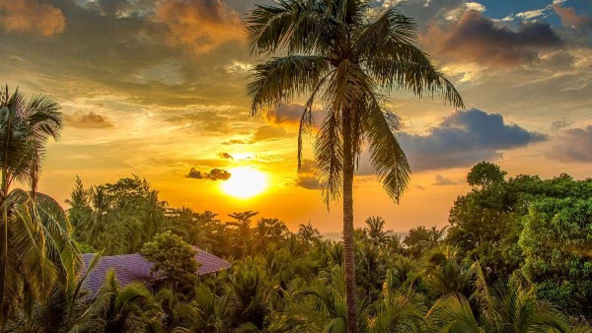 Travel: പച്ചപ്പ് വിരിച്ച മനോഹര നാടുകള്‍, നിങ്ങള്‍ തീര്‍ച്ചയായും സന്ദര്‍ശിക്കേണ്ട ഇക്കോ ടൂറിസ്റ്റ് കേന്ദ്രങ്ങള്‍