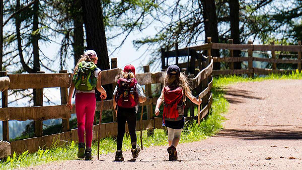 Travel: പച്ചപ്പ് വിരിച്ച മനോഹര നാടുകള്‍, നിങ്ങള്‍ തീര്‍ച്ചയായും സന്ദര്‍ശിക്കേണ്ട ഇക്കോ ടൂറിസ്റ്റ് കേന്ദ്രങ്ങള്‍