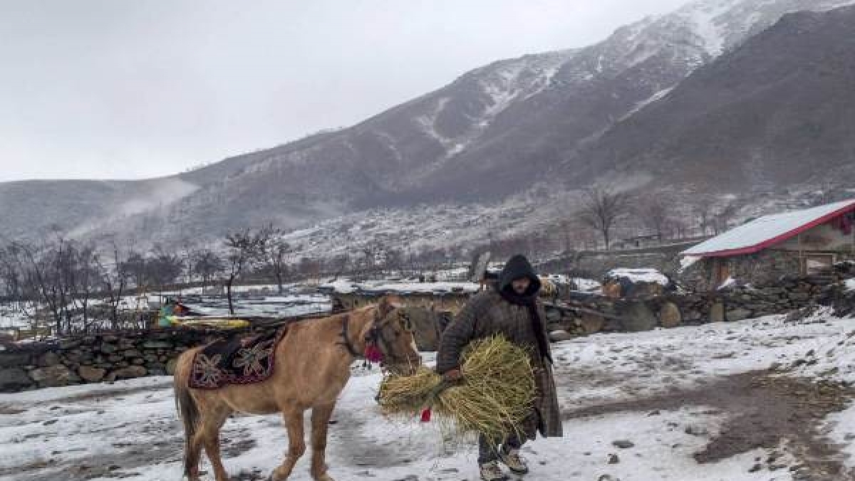 Travel Tips: ഭൂമിയിലെ സ്വര്‍ഗം, കാശ്മീര്‍; യാത്ര പുറപ്പെടുന്ന വിനോദ സഞ്ചാരികള്‍ അറിയേണ്ട കാര്യങ്ങള്‍ 