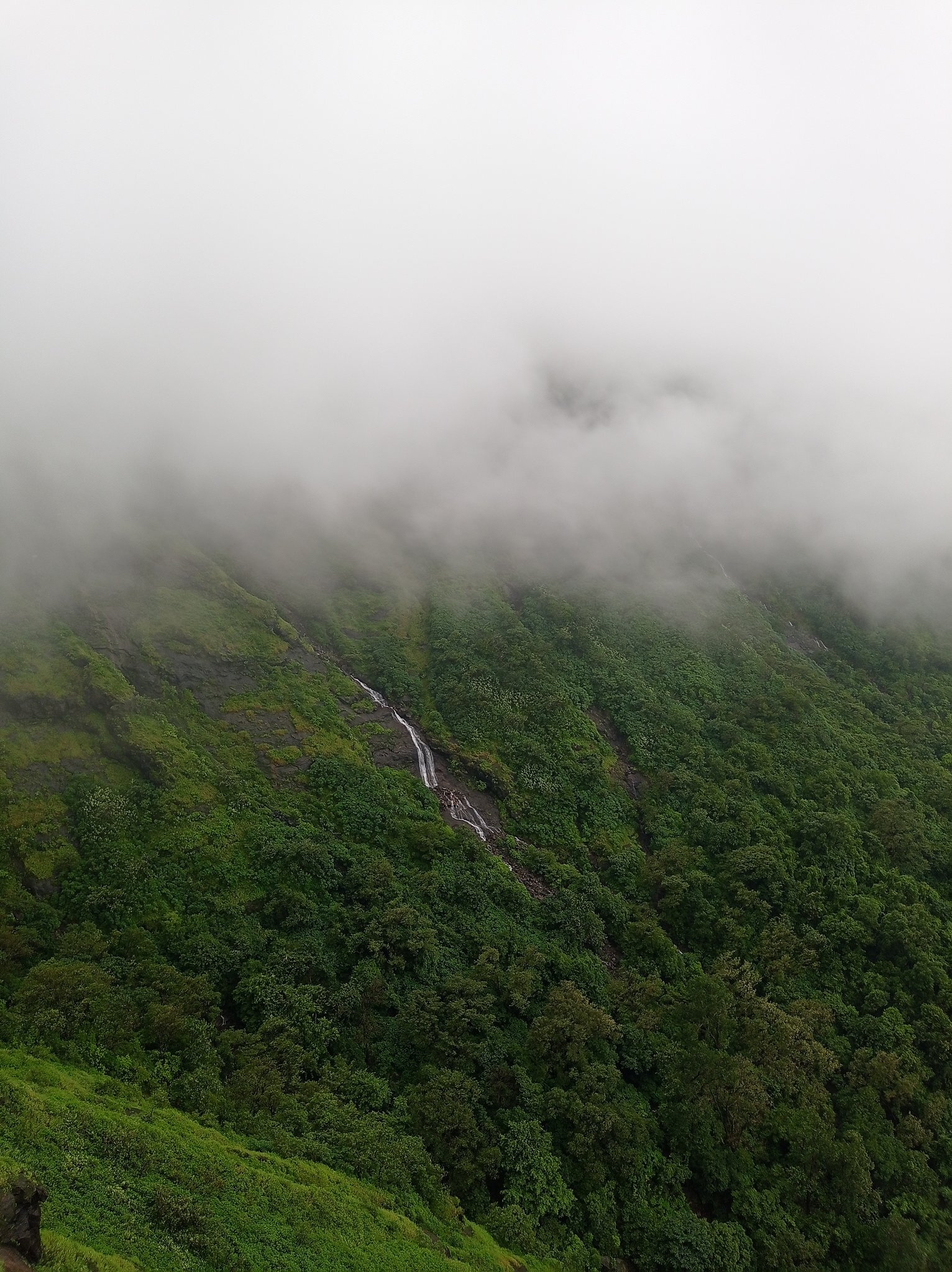 Travel: ചൂട് കാലം അടിപൊളിയാക്കാം; ഇതാ ആരും കൊതിക്കുന്ന ട്രിപ്പ്, പോകുന്നെങ്കില്‍ ഇന്ന് തന്നെ വിട്ടോളൂ