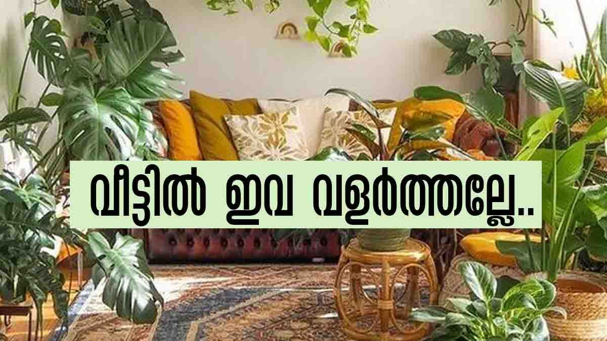 Vastu Tips: പുളിമരവും മൈലാഞ്ചിച്ചെടിയും വീട്ടില്‍ വളര്‍ത്തല്ലേ, വരാനിരിക്കുന്നത് വന്‍ ദോഷം