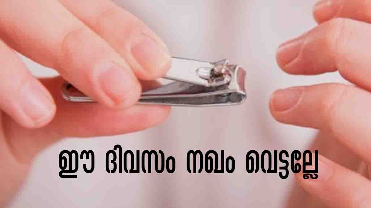 Astro Tips for Nail Cutting:  ഈ ദിവസം നഖം വെട്ടല്ലേ... മുടിഞ്ഞ് പോകും..!!