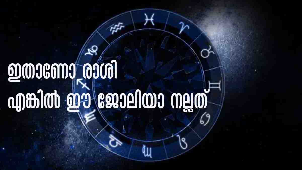 Astro Tips: ഇതാണോ നിങ്ങളുടെ രാശി? എങ്കില്‍ മന്ത്രി വരെയാകാം... ഓരോ രാശിക്കാരുടേയും ജോലികള്‍ നോക്കാം
