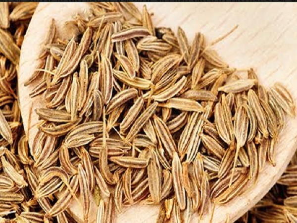 Skin Care: ജീരക വെള്ളത്തിൽ മുഖം കഴുകിയാൽ  തിളങ്ങുമോ?   ഇതാ നിങ്ങൾക്കറിയാത്ത ചില ടിപ്പുകൾ