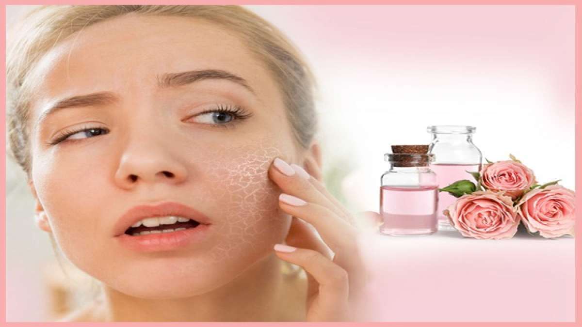 Skin Care: ടോണറായി റോസ് വാട്ടർ മതി; ചർമം സംരക്ഷിക്കാം ആയുർവേദം വഴി..