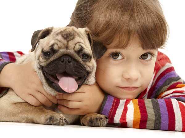 vastu tips:ഈ മൃഗങ്ങളേയോ പക്ഷിയേയോ വീട്ടില്‍ വളർത്തുന്നുണ്ടോ: എങ്കില്‍ ഇക്കാര്യം സൂക്ഷിക്കണം