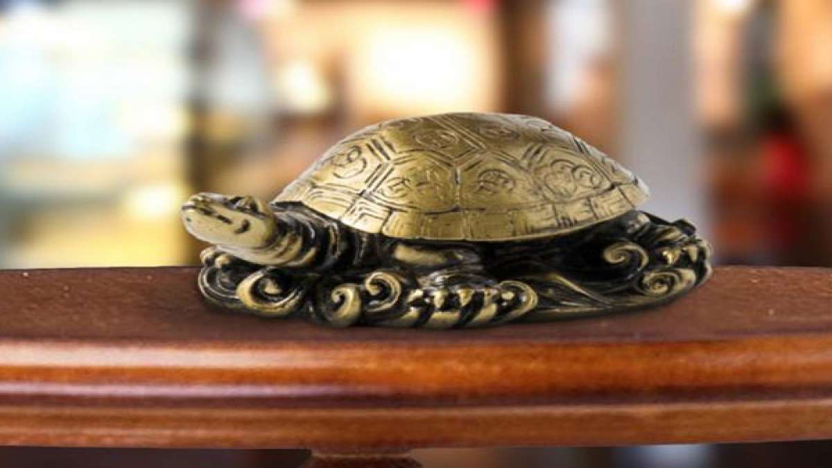 vastu tips:ഈ മൃഗങ്ങളേയോ പക്ഷിയേയോ വീട്ടില്‍ വളർത്തുന്നുണ്ടോ: എങ്കില്‍ ഇക്കാര്യം സൂക്ഷിക്കണം