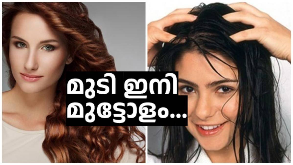 Hair Care: ഈ 3 സാധനങ്ങൾ കഴിച്ചോളൂ, മുടി വളരും മുട്ടോളം
