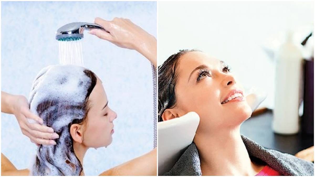 Hair Care: ഈ 3 സാധനങ്ങൾ കഴിച്ചോളൂ, മുടി വളരും മുട്ടോളം