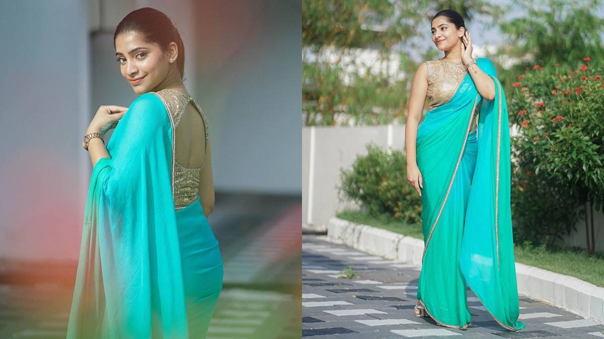 Malavika Sreenath: ബട്ടർഫ്ലൈ എഫക്ടുമായി മാളവിക ശ്രീനാഥ്; സാരിയിൽ തിളങ്ങി മോളിവുഡ് സുന്ദരി, ചിത്രങ്ങൾ കാണാം