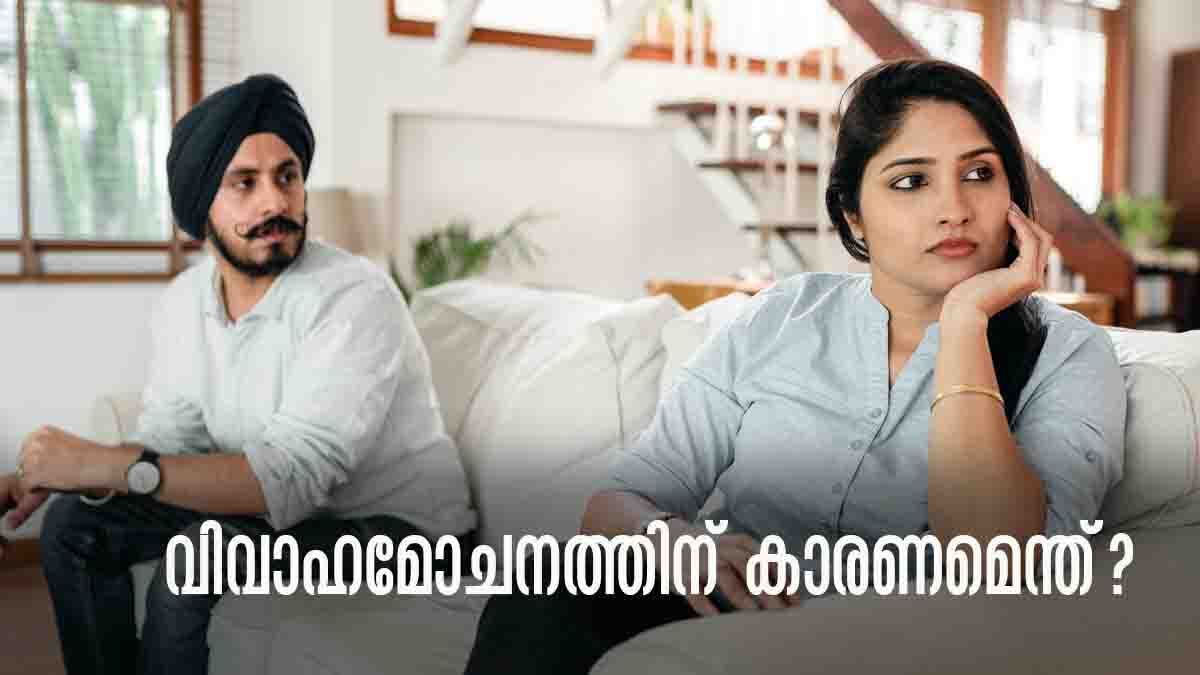 Relationship Tips: വിവാഹമോചനം തെറ്റാണോ..? ബന്ധം വേര്‍പ്പെടുത്തുന്നതിന്റെ പ്രധാന കാരണങ്ങള്‍ ഇവയാണ്