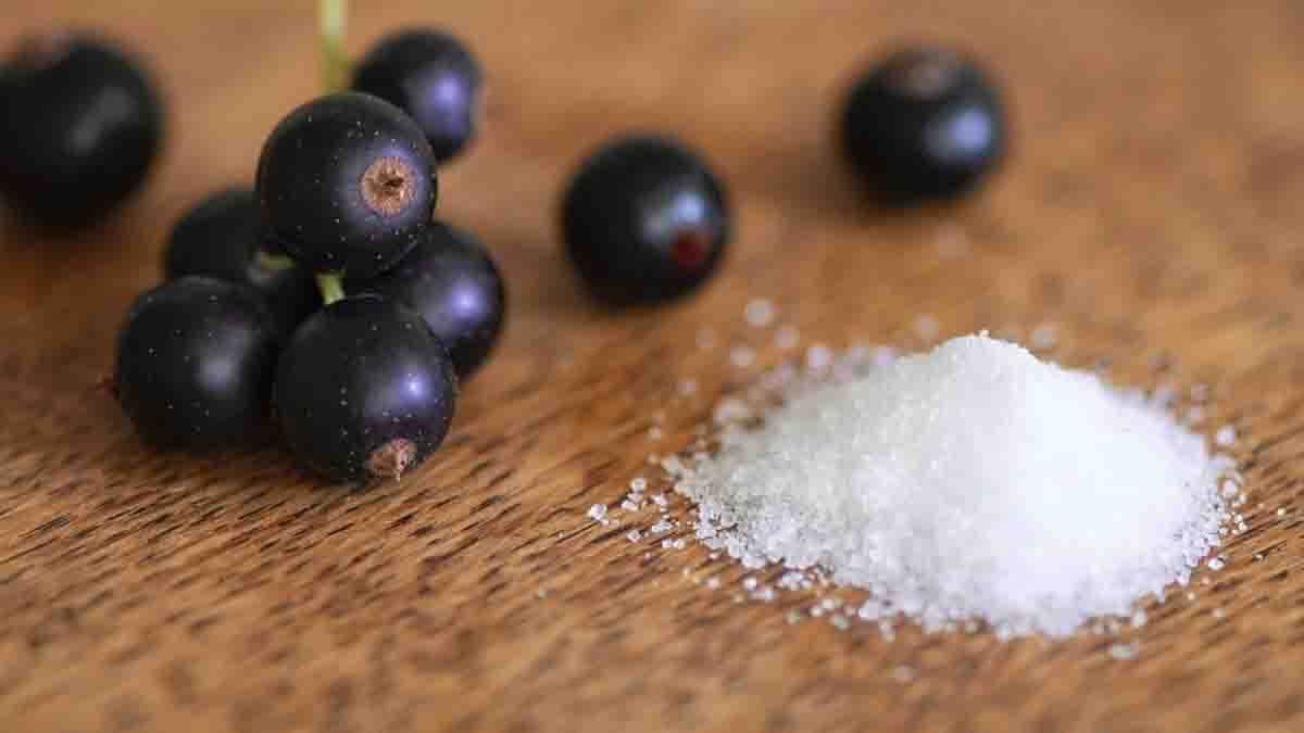 Vastu Tips:  ഉപ്പ് കൊണ്ടുവരും വീട്ടില്‍ സമ്പത്തും സമൃദ്ധിയും.. എങ്ങനെയെന്നോ..?