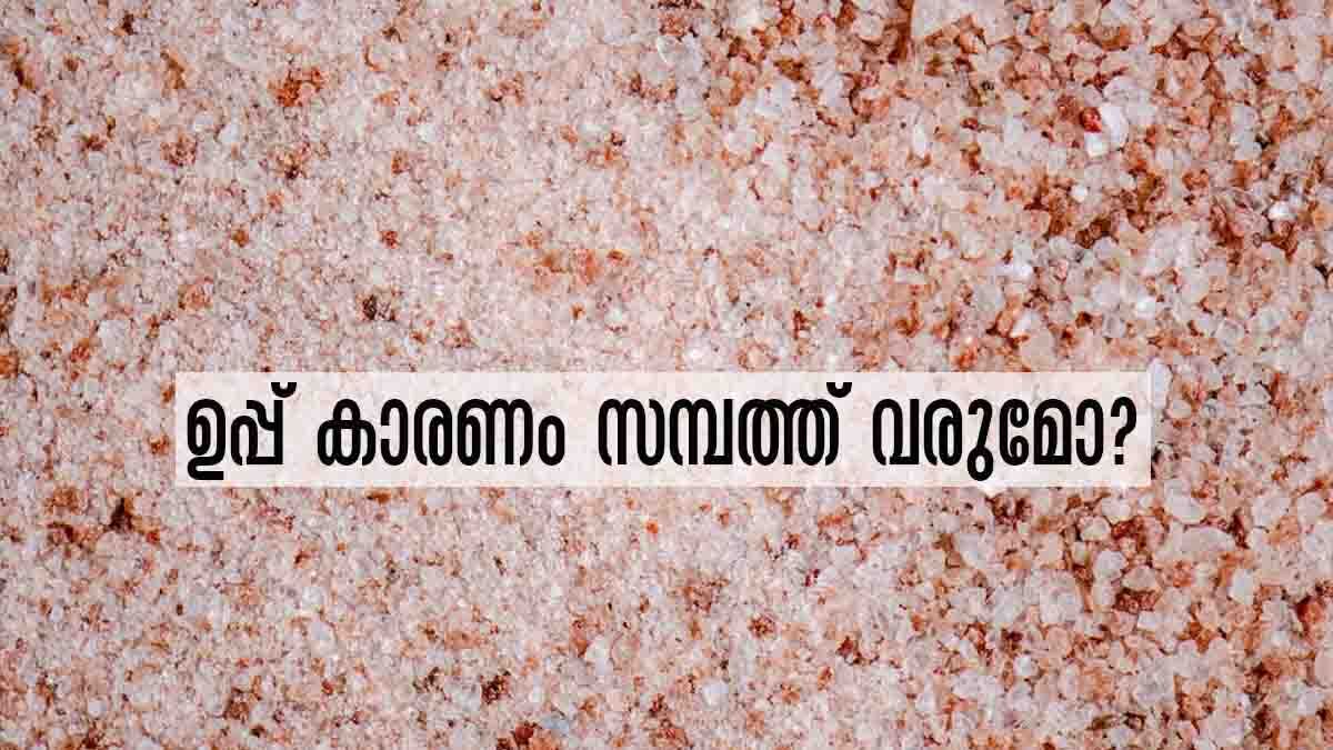 Vastu Tips:  ഉപ്പ് കൊണ്ടുവരും വീട്ടില്‍ സമ്പത്തും സമൃദ്ധിയും.. എങ്ങനെയെന്നോ..?