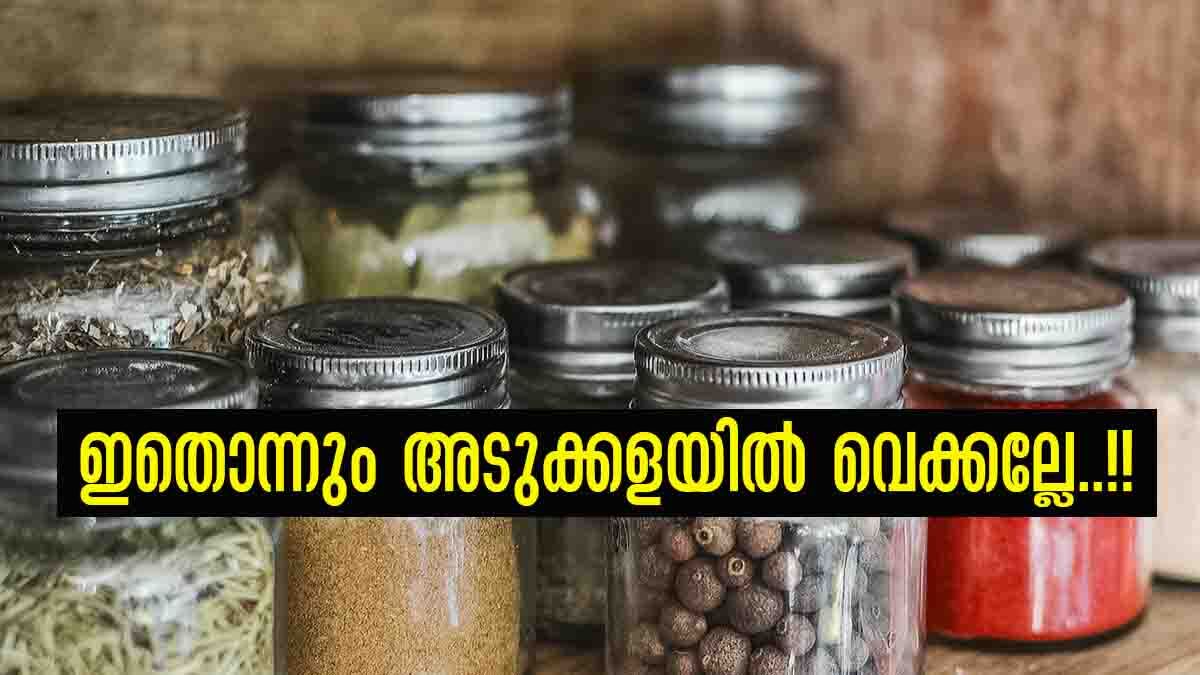 Vastu Tips: ഉപ്പ് അടുക്കളയില്‍ ആണോ സൂക്ഷിക്കുന്നത്..? ഈ സാധനമൊക്കെ പെട്ടെന്ന് മാറ്റിക്കോ, ഇല്ലെങ്കില്‍ സര്‍വ്വനാശം