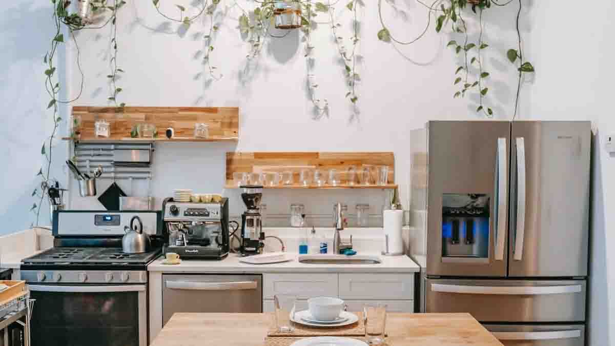 Vastu Tips: ഉപ്പ് അടുക്കളയില്‍ ആണോ സൂക്ഷിക്കുന്നത്..? ഈ സാധനമൊക്കെ പെട്ടെന്ന് മാറ്റിക്കോ, ഇല്ലെങ്കില്‍ സര്‍വ്വനാശം