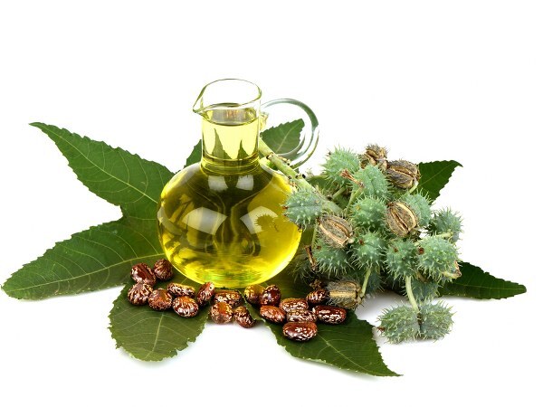 'വയറിളക്കാന്‍' മാത്രമല്ല ആവണക്കെണ്ണ: മുടി വളർച്ചയ്ക്കും താരന്‍ അകറ്റാനും ഏറെ ഉത്തമം