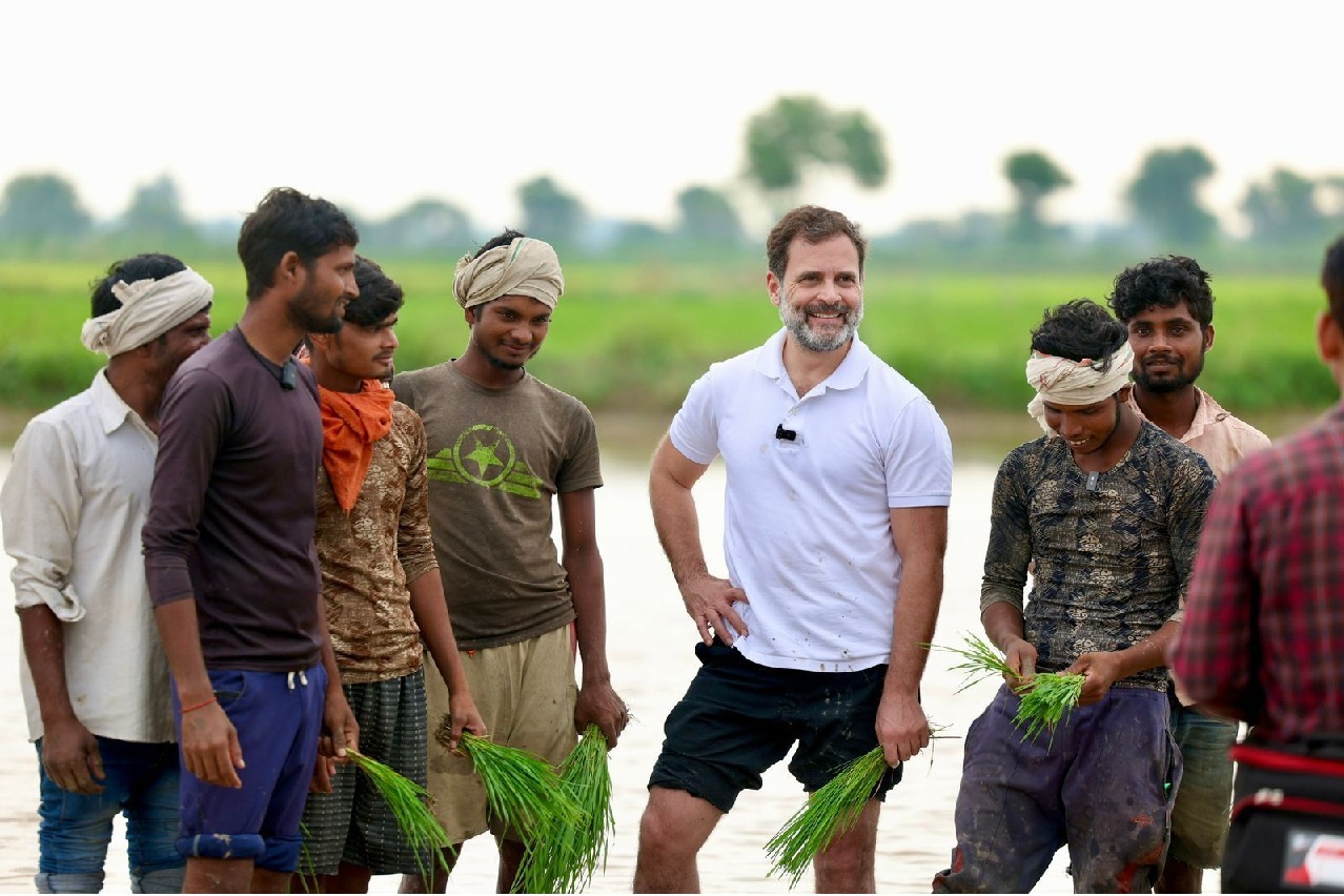 Congress Leader Rahul Gandhi Steps Into Paddy Fields and Helps the Farmers