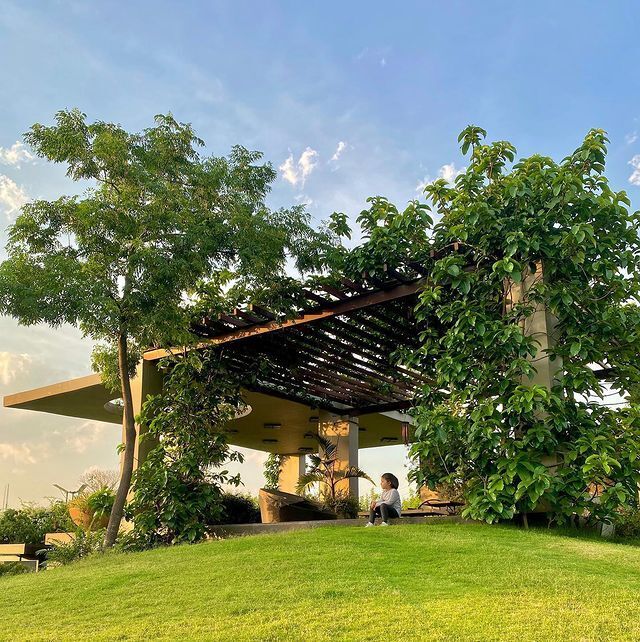 Happy B'day Mahi: ધોનીના રાંચી સ્થિત હરિયાળીથી ઘેરાયેલા ફાર્મ હાઉસ 'કૈલાશપતિ'ની ઈનસાઈડ તસવીરો