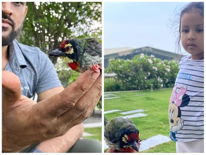 Happy B'day Mahi: ધોનીના રાંચી સ્થિત હરિયાળીથી ઘેરાયેલા ફાર્મ હાઉસ 'કૈલાશપતિ'ની ઈનસાઈડ તસવીરો