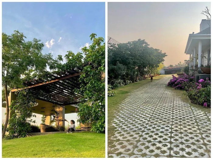 Happy B'day Mahi: ધોનીના રાંચી સ્થિત હરિયાળીથી ઘેરાયેલા ફાર્મ હાઉસ 'કૈલાશપતિ'ની ઈનસાઈડ તસવીરો