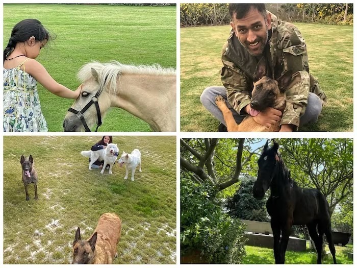 Happy B'day Mahi: ધોનીના રાંચી સ્થિત હરિયાળીથી ઘેરાયેલા ફાર્મ હાઉસ 'કૈલાશપતિ'ની ઈનસાઈડ તસવીરો