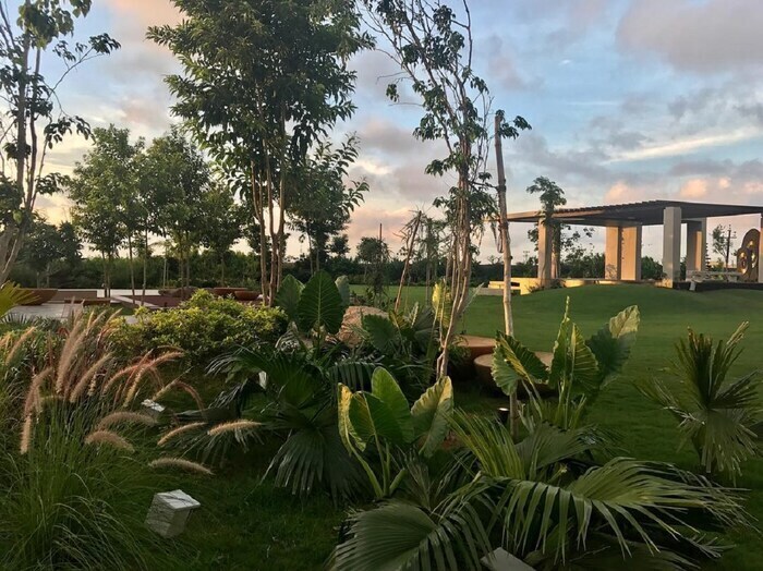 Happy B'day Mahi: ધોનીના રાંચી સ્થિત હરિયાળીથી ઘેરાયેલા ફાર્મ હાઉસ 'કૈલાશપતિ'ની ઈનસાઈડ તસવીરો