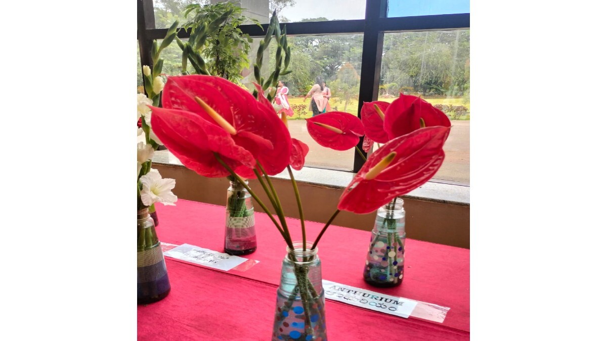  Krishi Mela 2023: ಧಾರವಾಡ ಕೃಷಿ ವಿಶ್ವವಿದ್ಯಾಲಯದಲ್ಲಿನ ಫಲಪುಷ್ಪ ಪ್ರದರ್ಶನದ ಅದ್ಭುತ ದೃಶ್ಯಗಳು