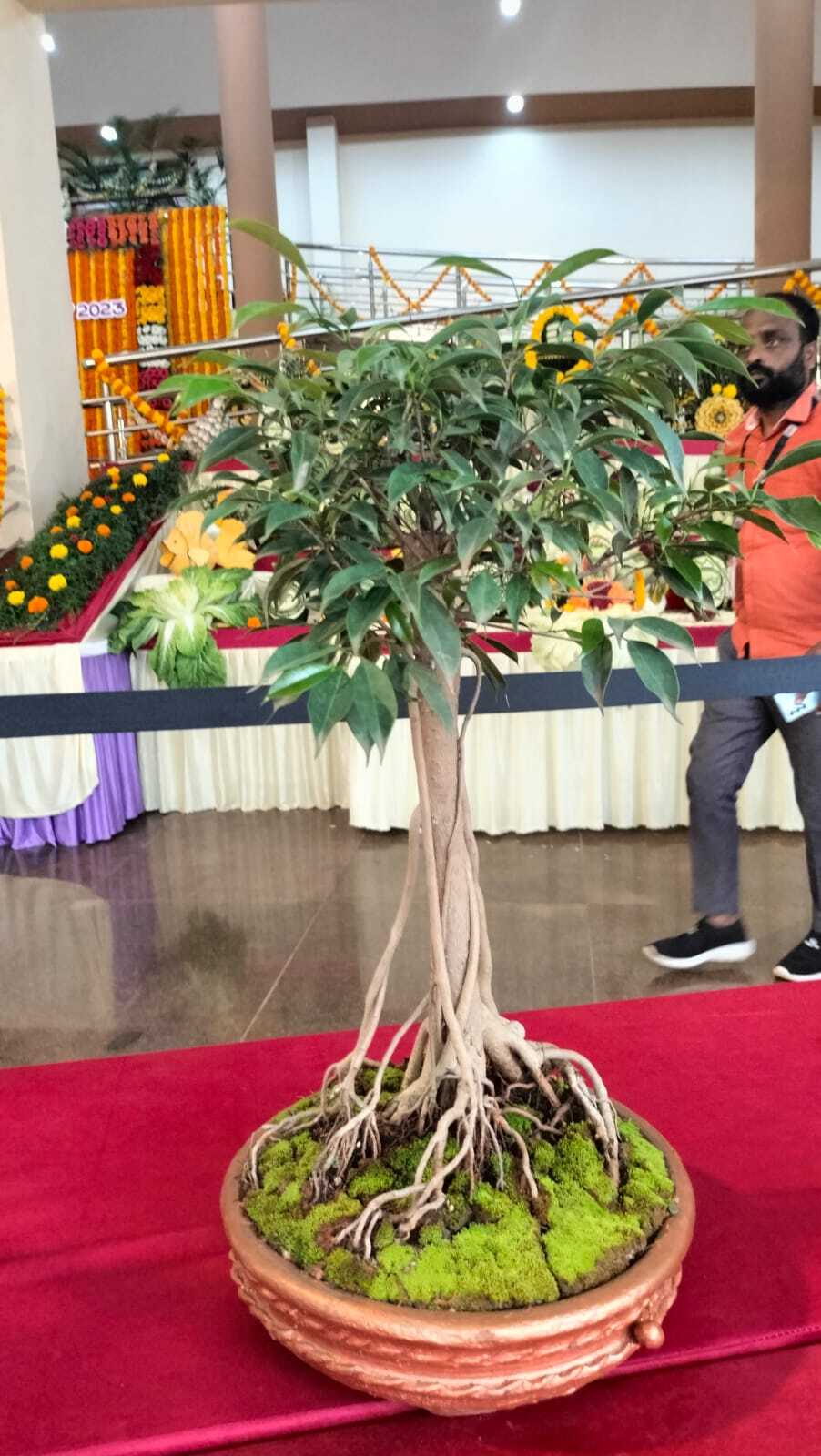  Krishi Mela 2023: ಧಾರವಾಡ ಕೃಷಿ ವಿಶ್ವವಿದ್ಯಾಲಯದಲ್ಲಿನ ಫಲಪುಷ್ಪ ಪ್ರದರ್ಶನದ ಅದ್ಭುತ ದೃಶ್ಯಗಳು