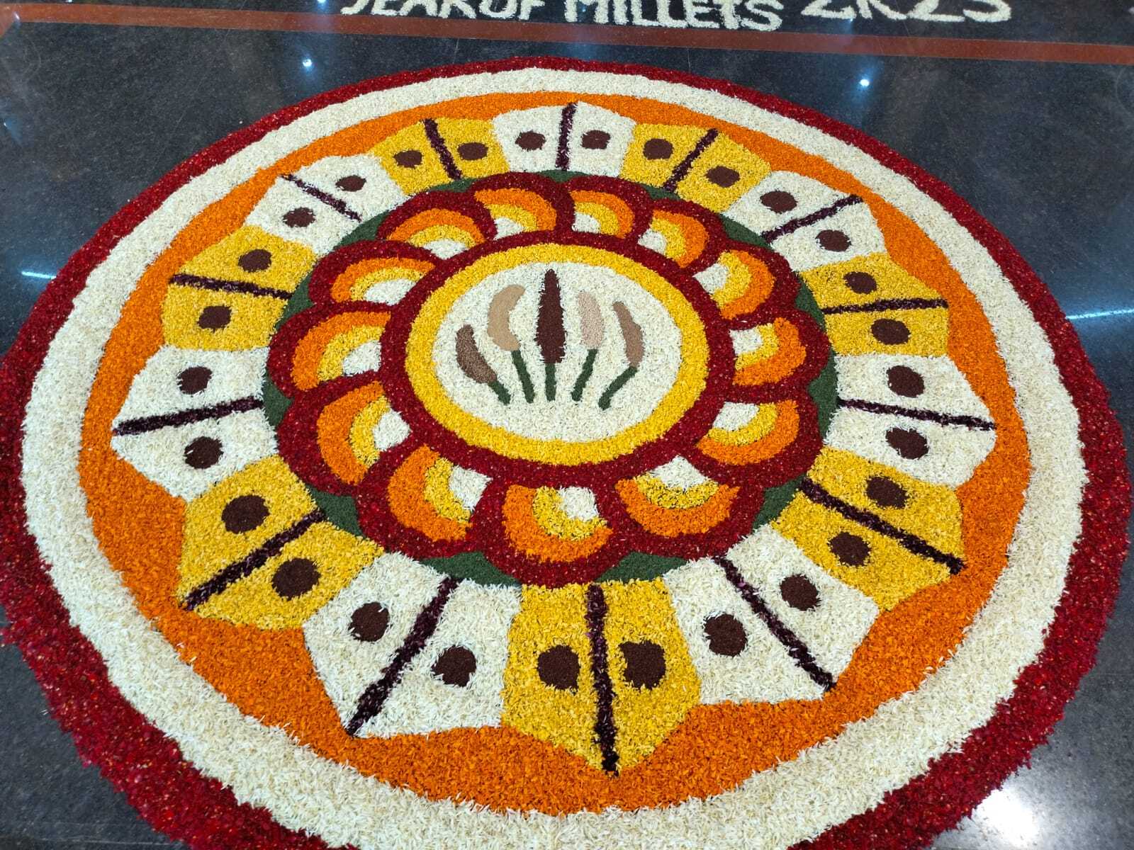  Krishi Mela 2023: ಧಾರವಾಡ ಕೃಷಿ ವಿಶ್ವವಿದ್ಯಾಲಯದಲ್ಲಿನ ಫಲಪುಷ್ಪ ಪ್ರದರ್ಶನದ ಅದ್ಭುತ ದೃಶ್ಯಗಳು