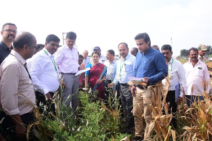ಕೇಂದ್ರ ತಂಡದಿಂದ ಚಿತ್ರದುರ್ಗದಲ್ಲಿ ಬರ ಅಧ್ಯಯನ | Central Team Study Drought ...