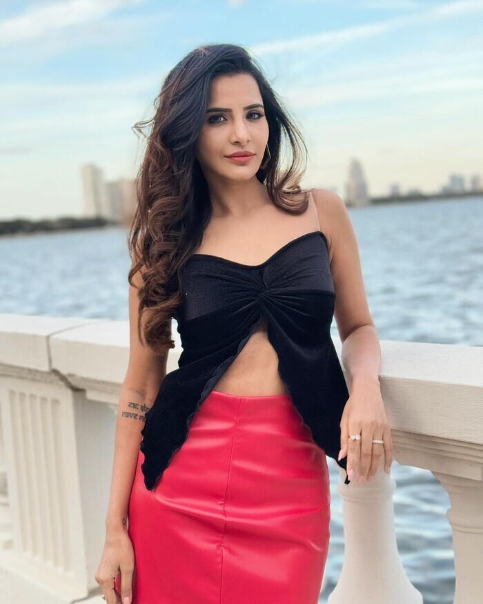 అషు రెడ్డి అందాల షో.. భామ మంచి జోరులో ఉందిలే! | Actress Ashu Reddy ...
