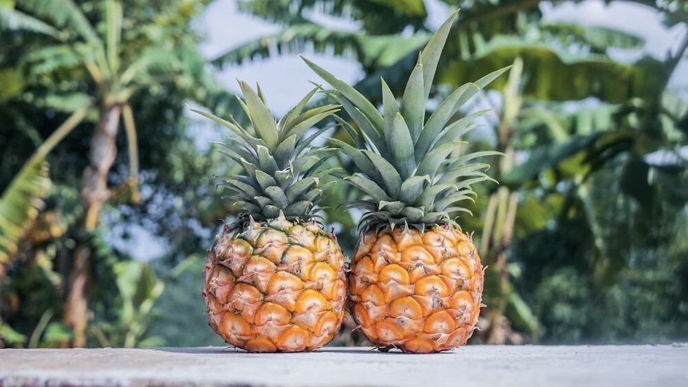 pineapples