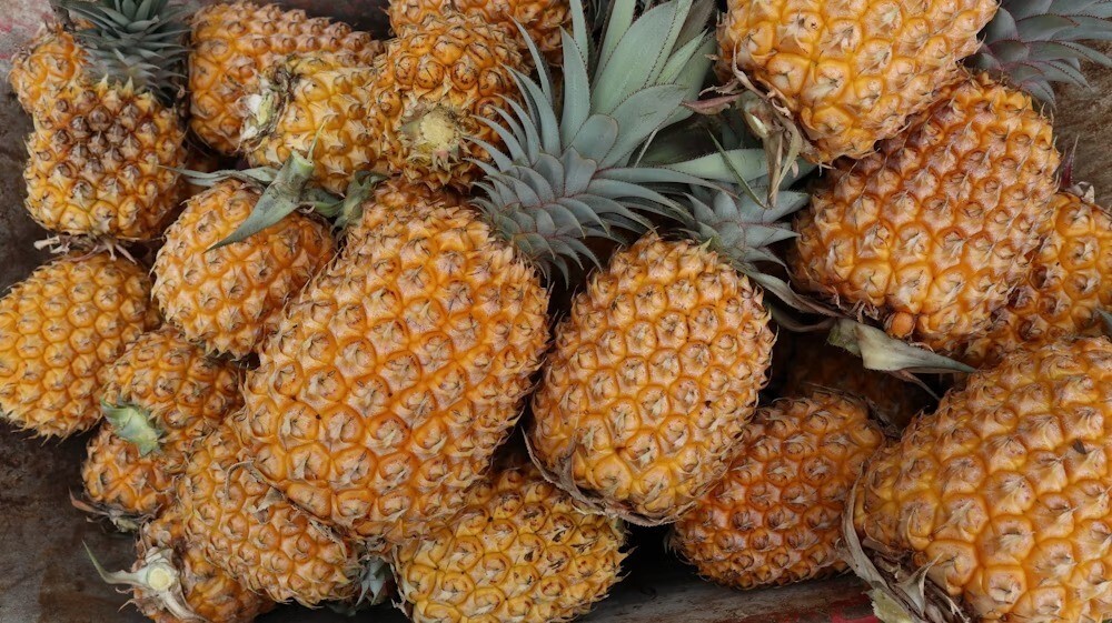 pineapple visual