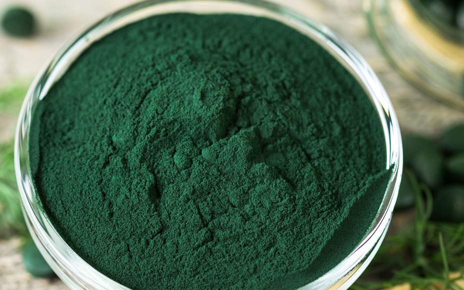 Spirulina