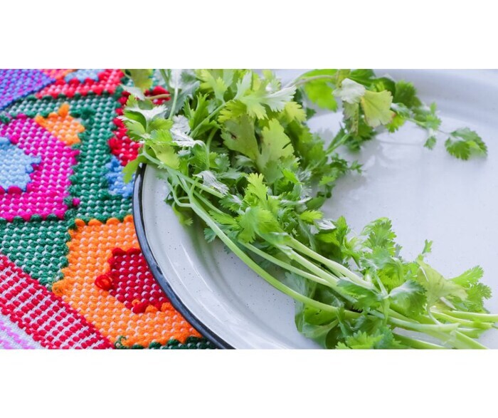 కొత్తిమీరను తక్కువగా అంచనా వేయవద్దు.. దీనిలో ఎన్ని పోషకాలు , విటమిన్లు