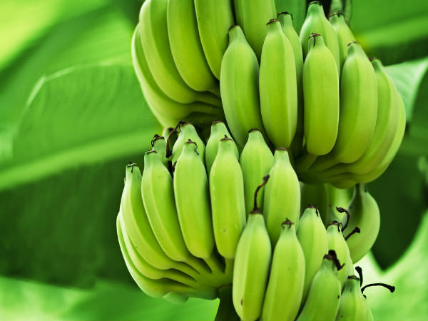 green banana