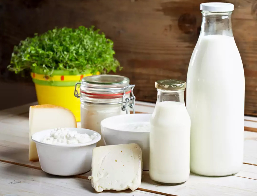 Milk, yogurt, and paneer