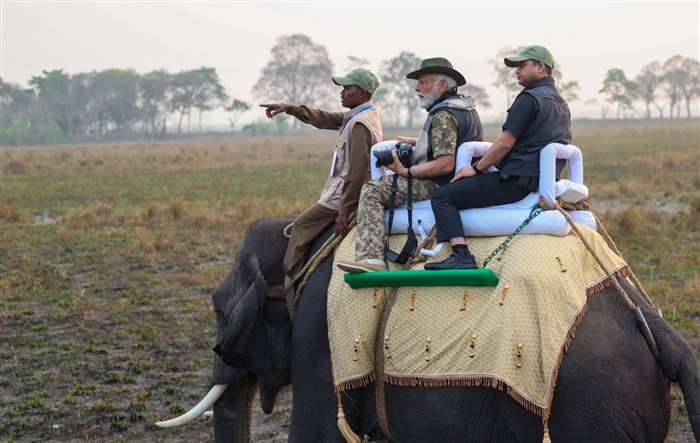 Prime Minister Narendra Modi enjoys an 'elephant ride' as part of his visit to Assam's Kaziranga Nat