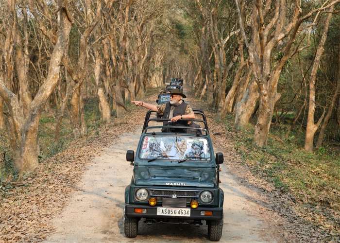 Prime Minister Narendra Modi opts for a 'jeep safari' during his visit to Assam's Kaziranga National