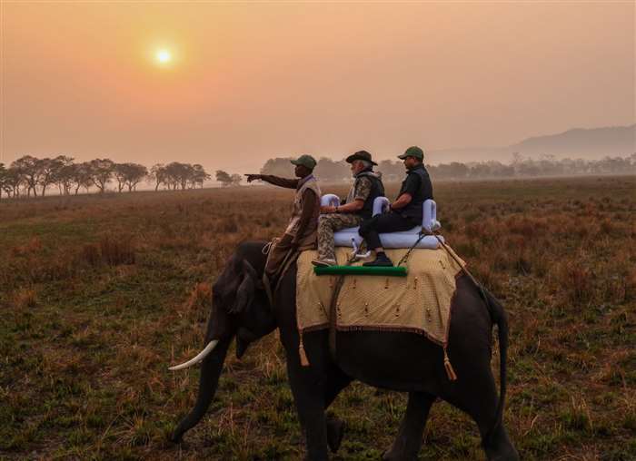 During his visit to Assam's Kaziranga National Park, Prime Minister Narendra Modi partakes in an 'el