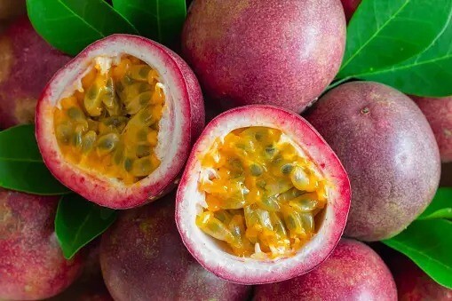 passion fruit fotos