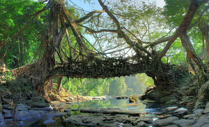 Mawlynnong, Meghalaya