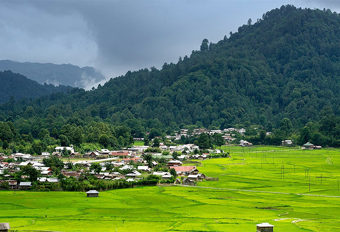 Ziro, Arunachal Pradesh