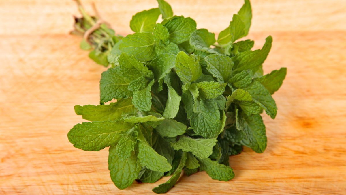 health benefits of mint leaves