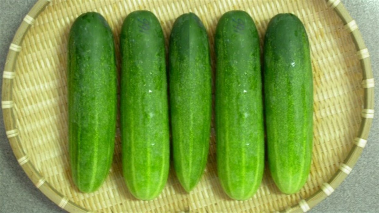 cucumber health